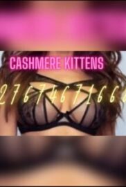 Cashmere Kittens